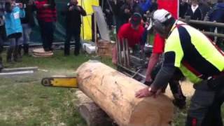 V8 chainsaw NZ