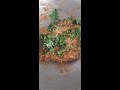 Dhaba style me Baigan ka Bharta | Baigan Ka Bharta | homemade Bharta | simple Indian cooking food