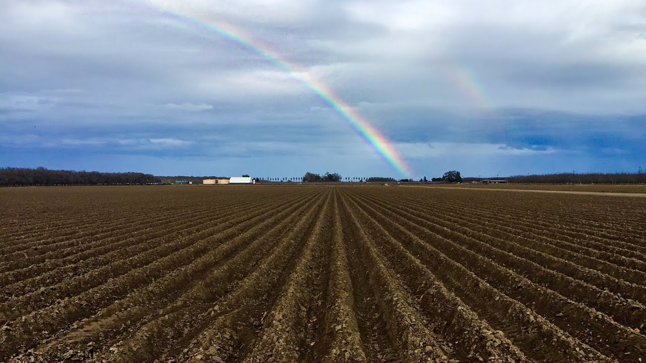 Untold Stories: Launching the PBBI documentary