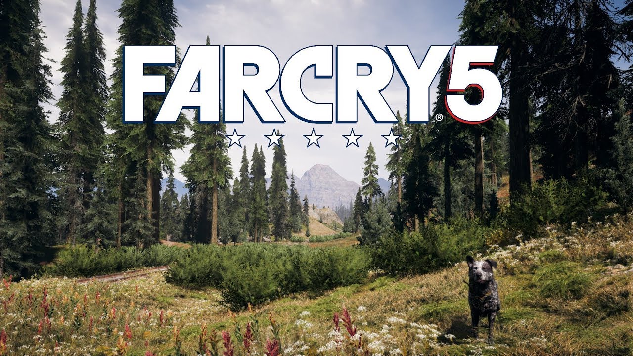 When The Morning Light Shines In - Guitar Cover