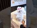 GAUN BARU CANTIK🥰‼️‎⁨ ‎⁨funydog1010⁩ 