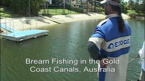 Bream Top Water Fishing with ECOGEAR GRASS MINNOW: Tony & Gavin