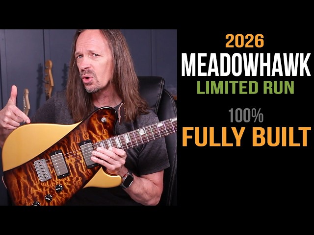 You will never see this again: fully-built Meadowhawk with a two
