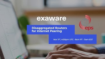 Disaggregated Routers for Internet Peering