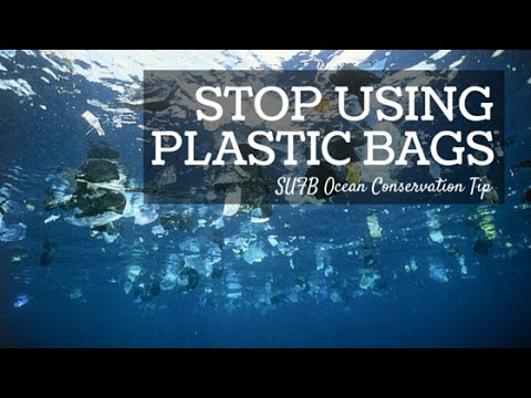 Ocean Conservation Tip: Alternative To Plastic Bag