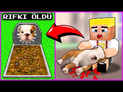 EFEKAN'IN KÖPEĞİ RIFKI ÖLDÜ! 😢 - Minecraft