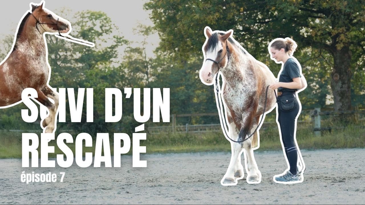 [ÉPISODE 7] On débute le travail à pied… la réalité sans filtre !