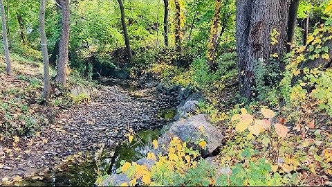 #FALL #SCENERY - CATCHING SUNSET & SUNRISE WILES BY BRITTANY ASH