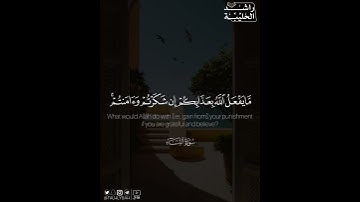﴿ما يفعل اللَّهُ بِعَذابِكُم إِن شكرتم وآمنتم وكان اللَّهُ شاكِرًا عَليمًا﴾ | القارئ: راشد الحليبة