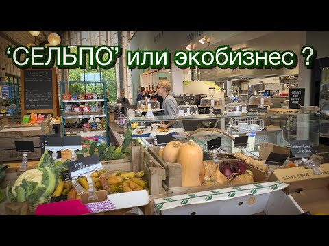 Vlog 186 - Cельпо по-английски. Чем меня удивил этот магазин..Идеи для экологичного бизнеса