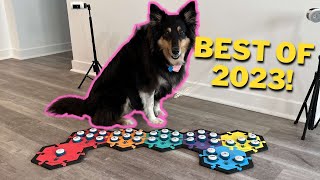 TALKING DOG BUTTONS  BEST OF 2023 (SO FAR)