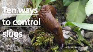 🌱 GETTING SLUGS OUT OF YOUR GARDEN: 10 Top Tips! 🐌 by Georgina Bisby DIY 1,107 views 2 years ago 10 minutes, 9 seconds