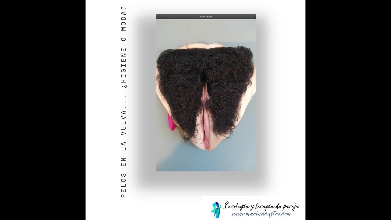 el pelo en el pubis... ¿moda o higiene? YouTube el pelo en el pubis... ¿moda o higiene? YouTube