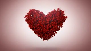 Valentine Day with Rose Petals - After Effects Template