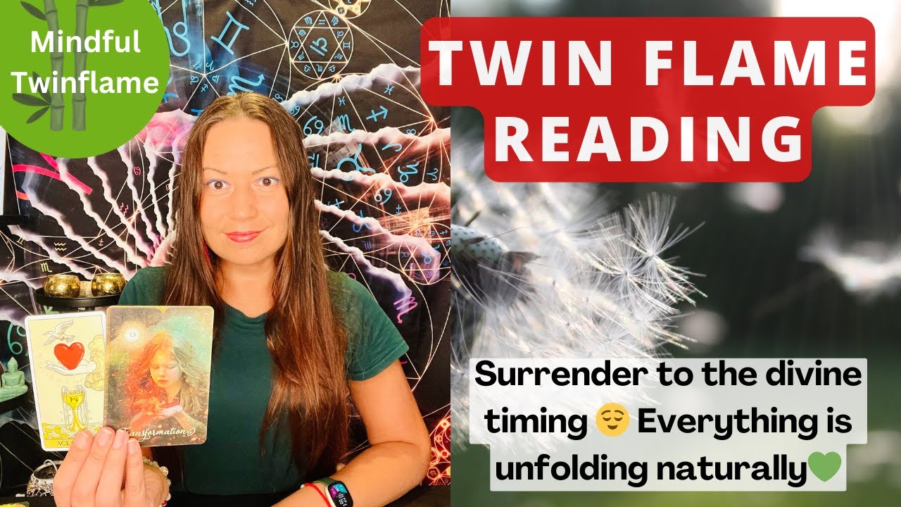 TWIN FLAME DM/DF Daily Update | Surrender to the divine timing 😌 ...