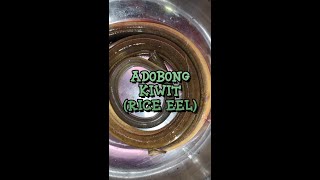 Adobong Kiwit (Rice eel) #shorts #eel #recipe #farm #shortvideo