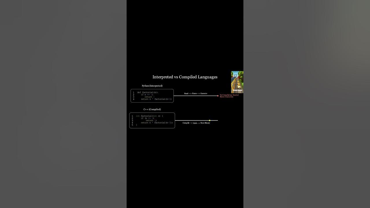 Brainrot lang 💀 #coding #programming - YouTube