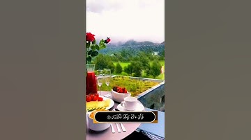 فيها فاكهةٌ والنخل ذات الأكمام _ سورة الرحمن #محمد_ديبيروف #quran #قرآن #nature #اذكار