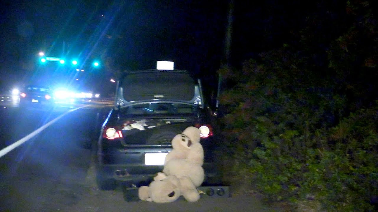 Teddy Bear Murder Scene Youtube