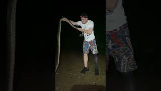 WORLDS LONGEST SNAKE