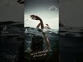 فواسفاه من يلقى السراب 