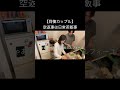 【同棲カップル】空返事は日常茶飯事#shorts #カップル #雑談 #料理＃サンドイッチ