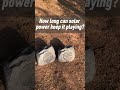 Lucky Tone ROCK 10S Rock Speaker | Outdoor Garden Landscape Speaker