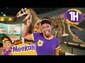 Dino fun at the museum with meekah  1 hr of meekah  educationals for kids