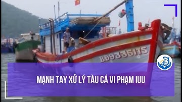 Mạnh tay xử lý tàu cá vi phạm IUU