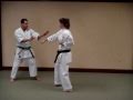 Uechi Ryu Yakusoku Kumite - Slow Motion