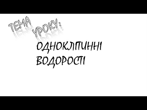 ОДНОКЛІТИННІ ВОДОРОСТІ