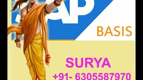 SAP BASIS ADMINISTRATION +91-6305587970