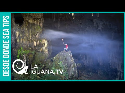 Más actual que nunca: ¿Qué nos enseña el mito de la caverna de Platón sobre  la normalidad?