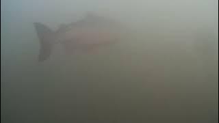 GLDS20250927 173732478 00 05 00 862 00 07 00 656