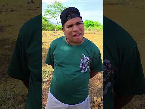"Big Bucks Bison" CHUMBA CASINO SC2 & SC5