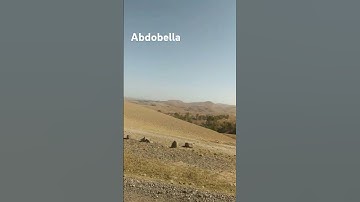 سورة الصافات بصوت المقرئ المغربي هشام الهراز #هشام_الهراز_المصحف_المرتل #اكسبلور