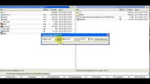 Описание API вызова библиотеки BackWAV.DLL