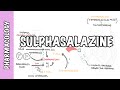 Sulphasalazine (DMARD) - Pharmacology, mechanism of action, metabolism, side effects