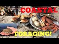 Coastal Foraging , Cook Up On The Beach - Ormers / Abalone , Lobster , Clams and More !