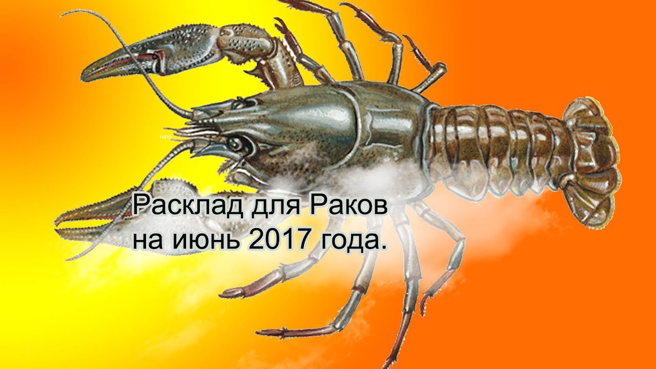 Рак на июнь 2024