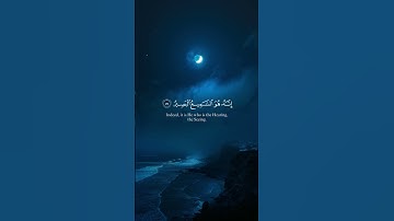 آيات من سورة غافر بصوت القارئ ياسر الدوسري #قرآن #تلاوة_خاشعة #تلاوة_هادئة #viralvideo