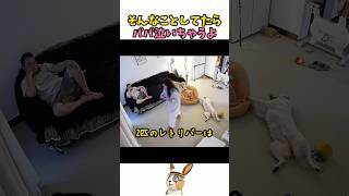 パパにも甘えてあげて…