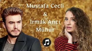 Mustafa Ceceli & lrmak Arıcı - Mühür