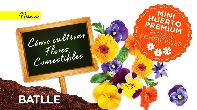 Huerto Premium Flores Comestibles