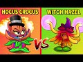 HOCUS CROCUS vs WITCH HAZEL - Who Will Win? - PvZ 2 New Plant Max Level