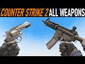Counter Strike 2 - All Weapons