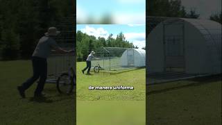 Este Es El Futuro De La Cría De Gallinas 🐓