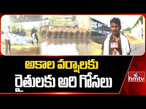 కష్టమంతా బురదపాలు.. అకాల వర్షంతో కన్నీరు మున్నీరవుతున్న రైతులు! | Unseasonal Rains Damage Crops - HMTVNEWS