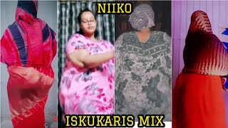 Niiko Iskukaris Mix V120