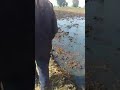 فيديو يوضح حجم البنزين الذي سبب حريق ايتاى البارود